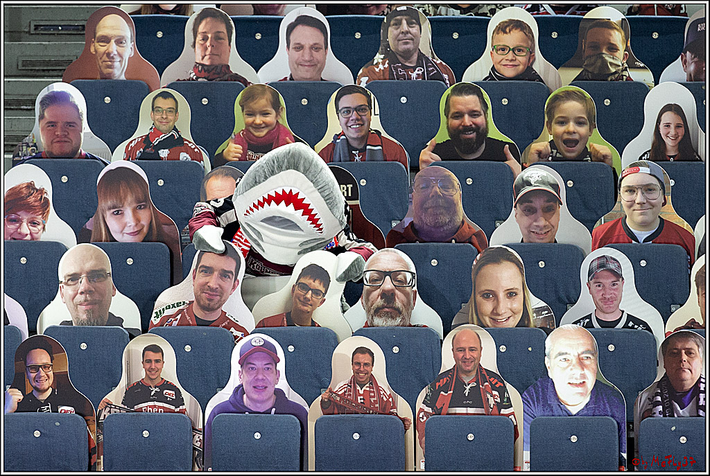 PENNY DEL;  Koelner Haie - Fischtown Pinguins Bremerhaven; Koeln, 12.02.2021